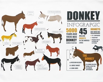 Donkey Infographic Large Cotton Tea Towel
