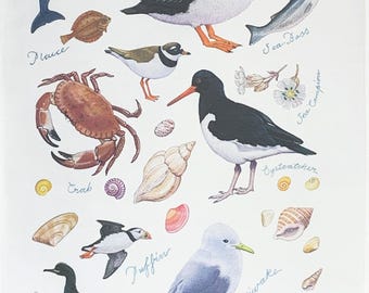 Seaside Wildlife Large Cotton Tea Towel
