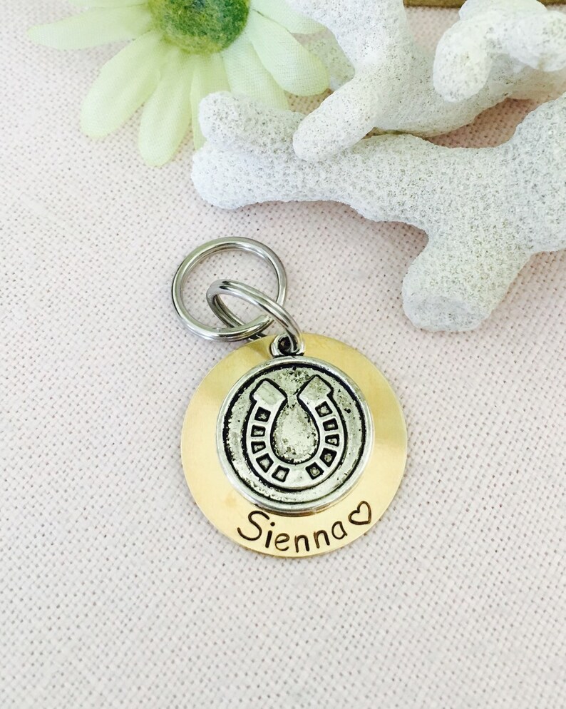 Pu&ograve; includere: Un'etichetta per cani in oro e argento con un ciondolo a forma di ferro di cavallo e il nome "Sienna" inciso su di essa.