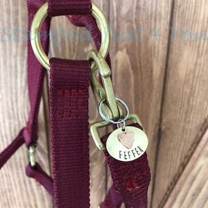 Custom Bridle Tag, Custom copper and brass pet ID tag, Dog Tag, Cat Tag, Bridle Tag, Halter Tag, Pet ID Tags