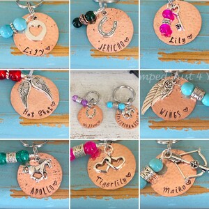 May include: Nine copper keychains with different charms and personalized names. The charms include a horseshoe, a heart, wings, a horse, and an arrow. The names on the keychains are Lily, Jericho, Hot Shot, Wings, Apollo, Tigerlily, and Maiko.