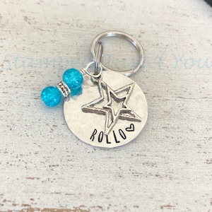 Personalized Bridle Tag, Pet Keychain, Bridle Charm, Bridle Tag, Halter Tag, Silver Bridle Tag, Pet ID Tags