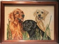 Needlework Crewel Embroidery Vintage Artwork Labrador Retrievers featuring 3 Colorful and Vibrant Labs Great Fathers Day Gift