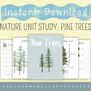 Nature Unit Study: Pine Trees