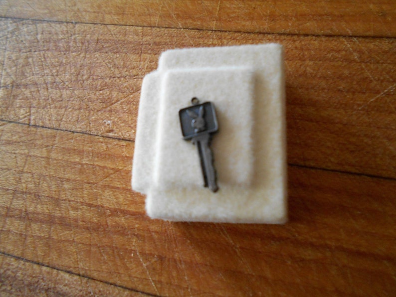 Free Shipping Vintage Playboy Bunny Key Tie TackPin