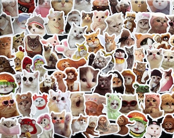 Cat Kitten Vinyl Stickers | Cute Adorable