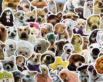 Meme Dog Dog Vinyl Stickers | cute puppy