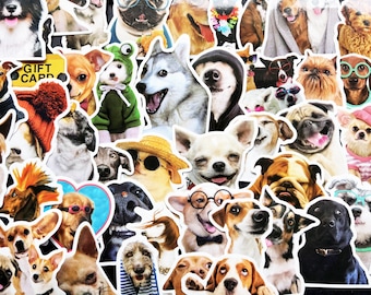 Funny Dog Vinyl Stickers | cute puppy