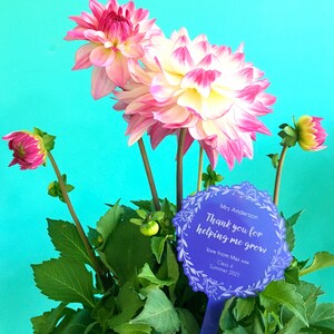 May include: Purple and white floral thank you tag with the text "Mrs. Anderson Thank you for helping me grow love from Max xxx Class 4 Summer 2021" attached to a potted plant with pink and white dahlias.