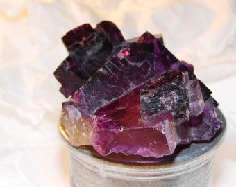 Fluorite Crystal in Matrix, deep Blue/Purple, Museum Grade speciman