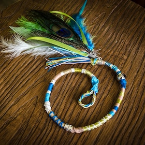May include: A colorful cat toy with a peacock feather and a braided rope circle. The rope is blue, green, white, and pink.
