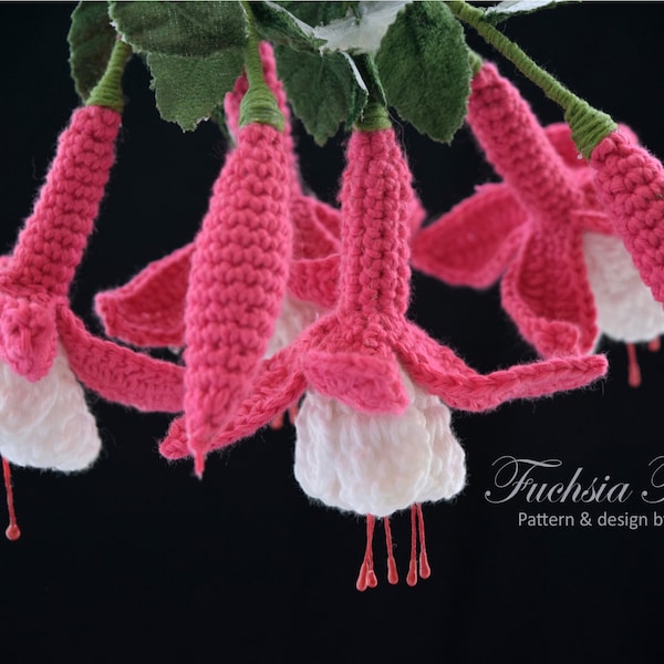 Crochet Flower Pattern Fuchsia Flower Crochet Pattern Crochet Chart 3D Crochet