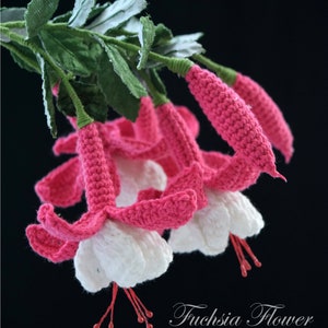 Crochet Flower Pattern Fuchsia Flower Crochet Pattern Crochet Chart 3D Crochet image 2