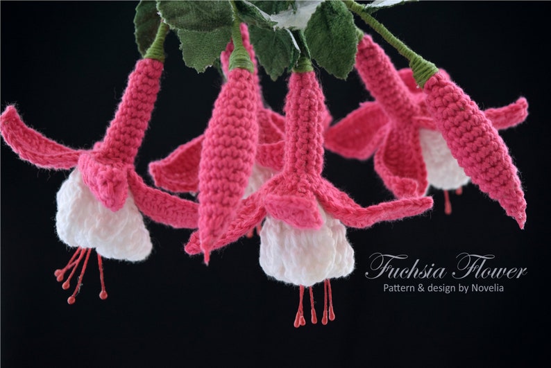 Crochet Flower Pattern Fuchsia Flower Crochet Pattern Crochet Chart 3D Crochet image 1