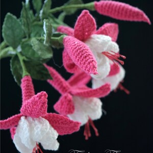 Crochet Flower Pattern Fuchsia Flower Crochet Pattern Crochet Chart 3D Crochet image 3