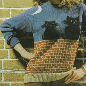May include: A blue knitted jumper with a brick pattern on the bottom half. The top half features a crescent moon and three black cats.