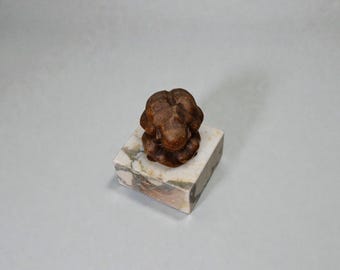 Calacatta Viola Marble Plinth – 6x6x3 Honed Display Base | Architectural Series Quiet Form