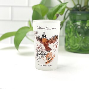 Vintage Frosted Glass Tumbler: California Game Birds & Quail