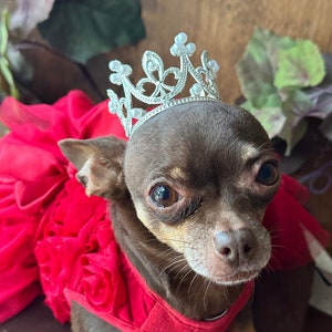 Mini Silver Crown for Small Dogs & Cats: Chihuahua, Birthday, Cats ...