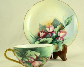 Bavaria Tea Cup Saucer - Hand Painted Porcelain - Floral Roses Gold Gilt Trim - Jaeger  Co. J & C Ovid