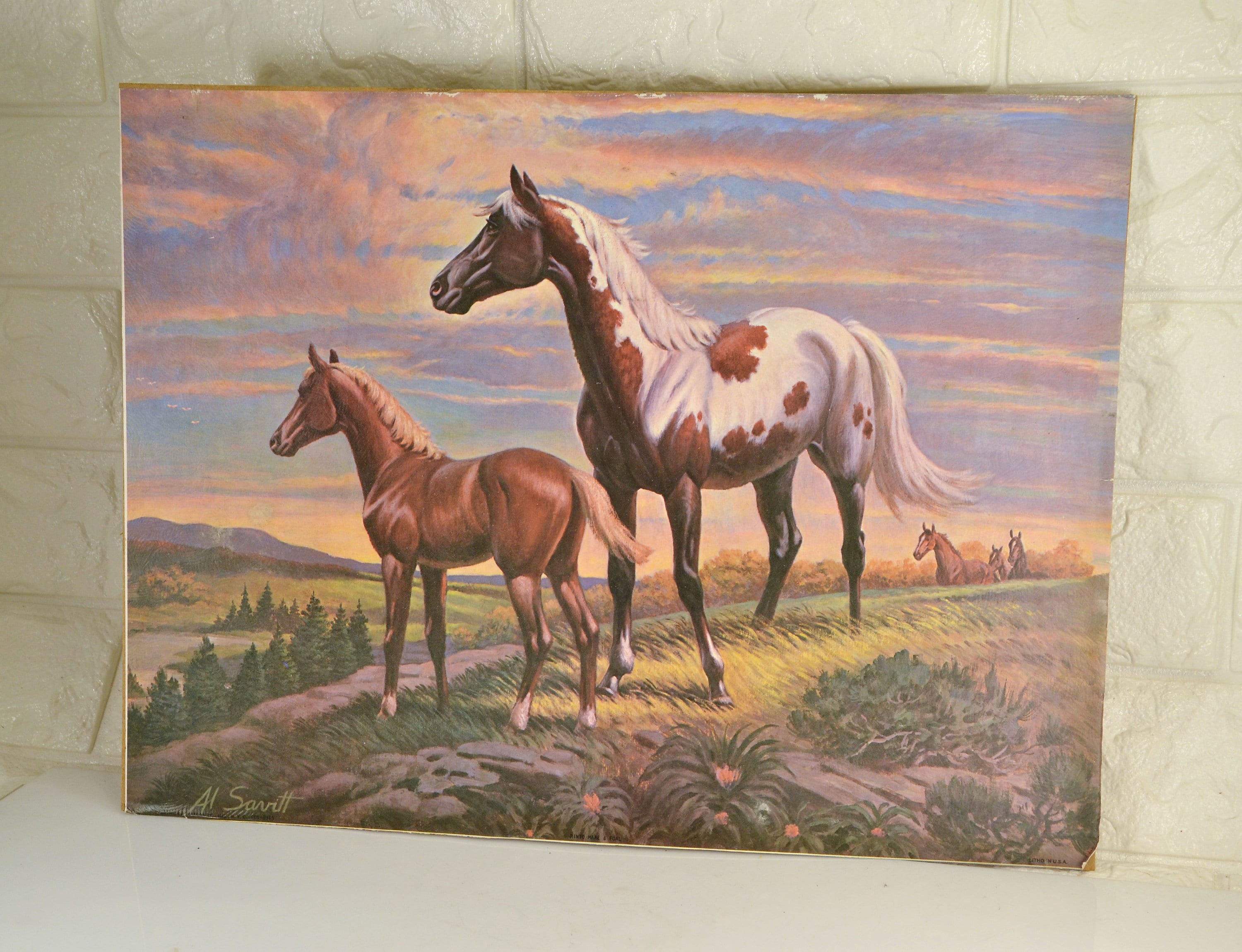 Horse Litho Al Savitt Artist Unframed 12 X 16 Pinto Paint Mare