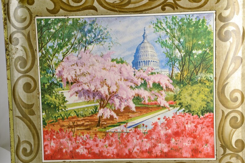 K&ouml;nnte beinhalten: Eine Vintage-Dose mit einem gemalten Bild des US-Kapitolgeb&auml;udes in Washington, D.C. Das Geb&auml;ude ist von B&auml;umen und bl&uuml;henden Blumen umgeben, darunter rosa Kirschbl&uuml;ten und rote Azaleen.