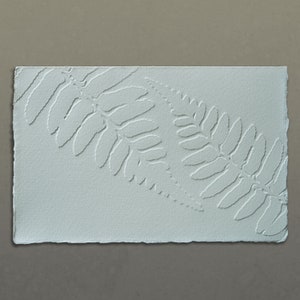 Ensemble de cartes de voeux vierges en relief Big Sur Ferns