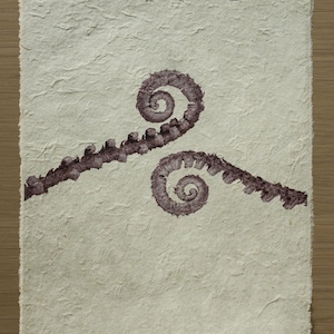 Fiddleheads | Fine Art Print on Natural Paper