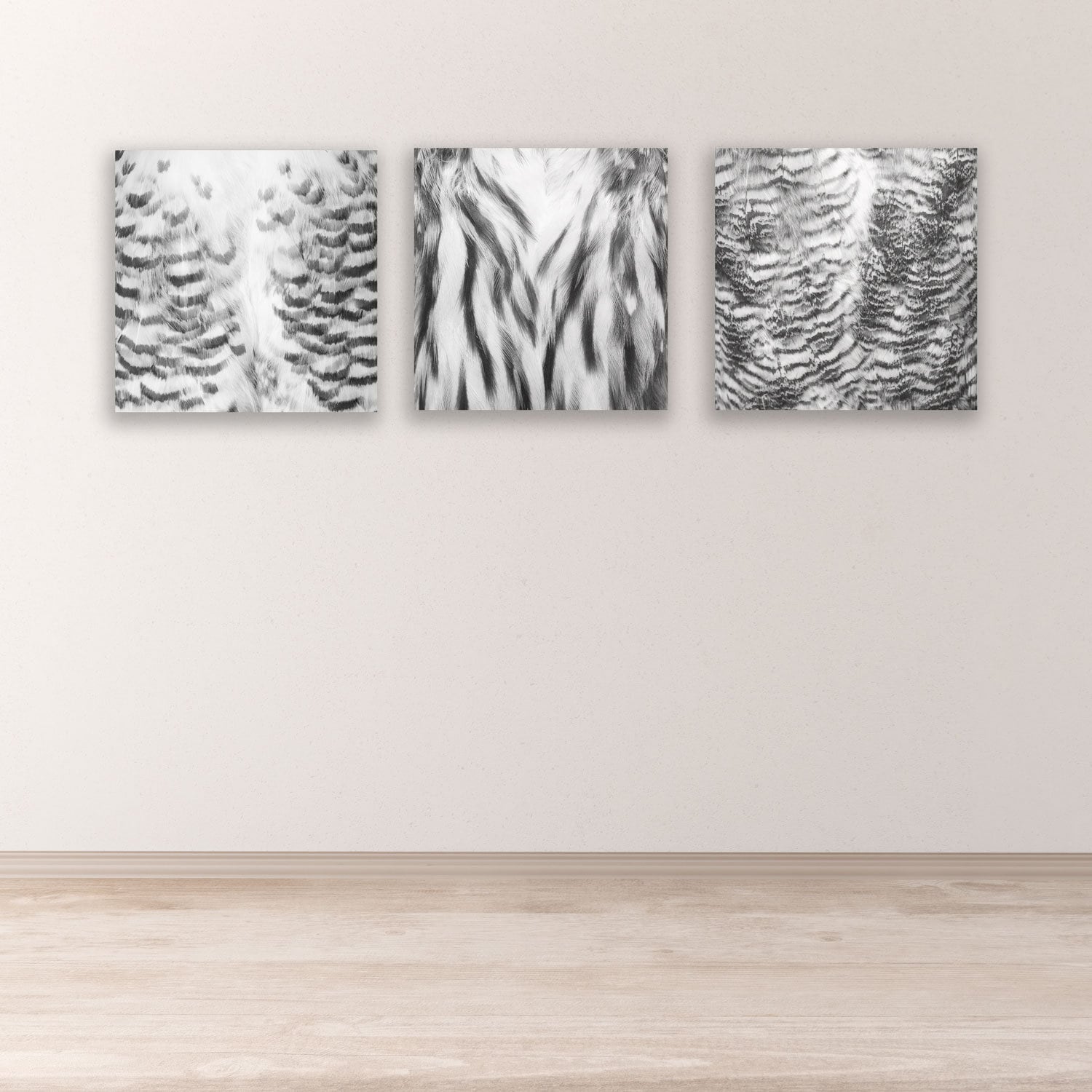 Owl Black and White Fine Art Nature Photography Triptych Prints