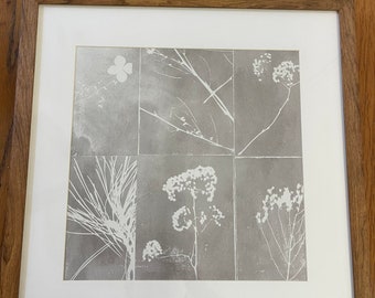 Framed botanical negative print