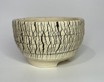 Black Fissure Crackle Pot 4” Ceramic planter