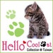 HelloCoolCat store logo