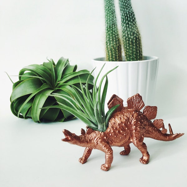 Small Copper Stegosaurus Dinosaur Planter Air Plant; Dinosaur Planter;  Home Decor; Air Plant; Unique Gift Idea; Desk Accessory; Tillandsia