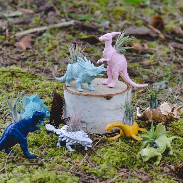 Customize Your Own Small Dinosaur Planter with Air Plant; Home Decor; Desk Accessory; Office Planter; Unique Gift Idea; Planter; D