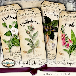 MAGICAL HERBS tags label potion poison Witch bottle jar Halloween scary instant download printable images digital collage sheet tl196