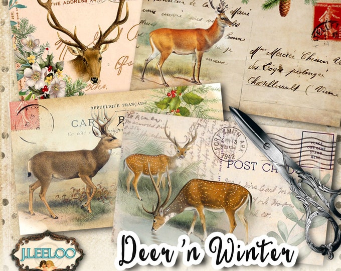 DEER n WINTER printables paper craft ephemera scrapbook downloadable diary greeting cards Digital collage sheet instant download tl201