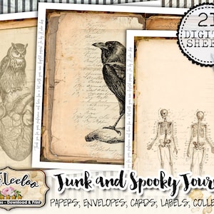 May include: Twenty-one digital paper sheets with a spooky theme. The papers feature vintage illustrations of an owl, a crow, a human heart, and a skeleton. The papers are perfect for scrapbooking, card making, and other paper crafts.