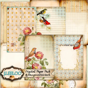 Dziennik BIRDS PAPERS 8,5 x 11 cali zestaw do tworzenia tła efemeryda album do natychmiastowego pobrania do druku pp277