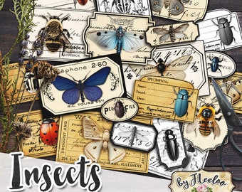 INSECTS entomology labels kit printable vintage ephemera butterfly insect junk journal instant download printable digital collage | tl254