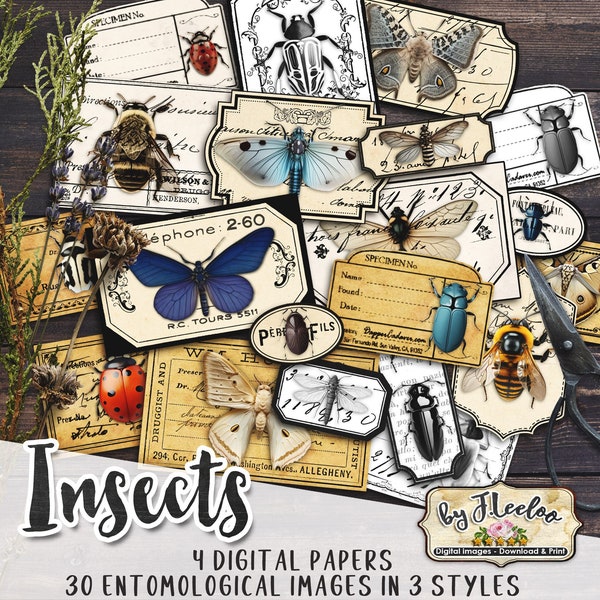 INSECTS entomology labels kit printable vintage ephemera butterfly insect junk journal instant download printable digital collage | tl254