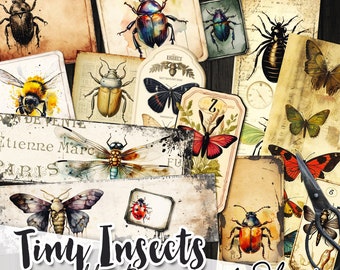 TINY INSECTS labels kit printable vintage entomology butterfly insect junk journal instant download printable digital collage sheet | tl258