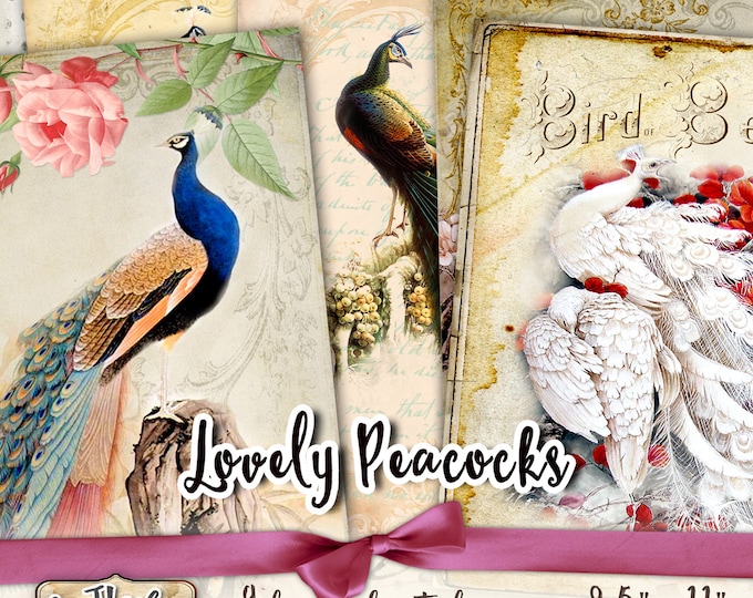 GORGEOUS PEACOCKS 8.5x11 inch large digital peacock papers scrapbook instant download printable Digital collage sheet pp336
