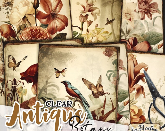 Clear ANTIQUE BOTANY Journal pages | Botanical scrapbook supplies junk journal ephemera chart book | card collage journaling nature | pp606
