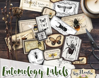 ENTOMOLOGY labels kit printable vintage ephemera butterfly insect junk journal instant download printable images digital collage sheet tl242