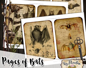 PAGES of BATS cards 5x7 inch gothic steampunk junk journal craft art diary scrapbook Digital collage sheet instant download printable pp526