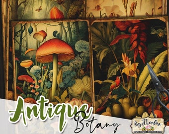 Páginas de diario de botánica antigua / Materiales para álbumes de recortes botánicos / Libro de gráficos de efímeros para diarios creativos / Diario de collage vintage sobre la naturaleza / pp606