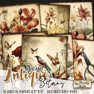 Clear ANTIQUE BOTANY Journal pages | Botanical scrapbook supplies junk journal ephemera chart book | card collage journaling nature | pp606
