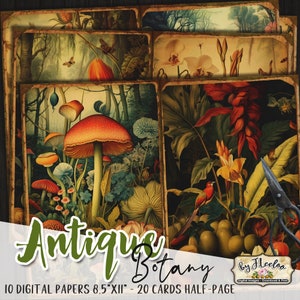ANTIQUE BOTANY Journal pages | Botanical scrapbook supplies | junk journal ephemera chart book | vintage collage journaling nature | pp606