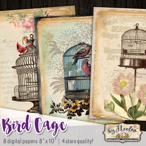 Cyfrowe papiery BIRD CAGE 8 x 10 cali Duży wiktoriański dziennik Vintage, sztuka, rzemiosło, pamiętnik, natychmiastowe pobieranie, wydruk, pp532