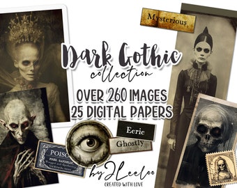 DARK GOTHIC Collection 260 images | creepy scrapbook junk journal digital ephemera supplies | victorian photo cards halloween Bundle | pp613